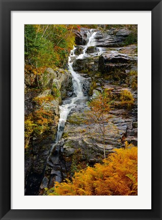 Framed Autumn at Silver Cascade, Crawford Notch SP, New Hampshire Print