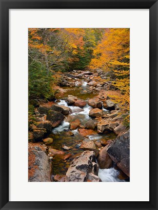 Framed Liberty Gorge, Franconia Notch State Park, New Hampshire Print