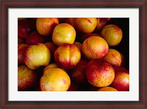 Framed Plums at an Outdoor Market, Nice, France Print