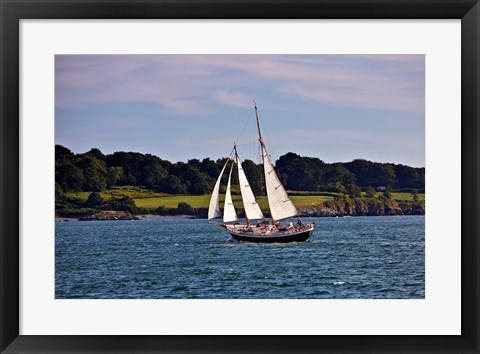 Framed Sailing in Newport, Rhode Island Print
