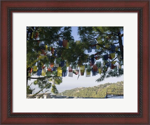 Framed Prayer Flags, Upper Dharamsala, Himachal Pradesh, India Print