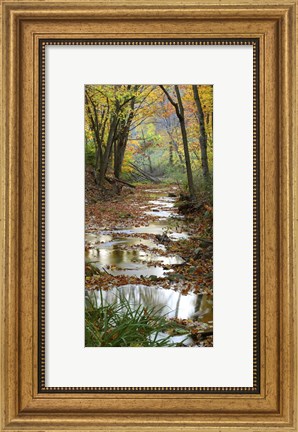 Framed Autumn at Schuster Hollow in Grant County, Wisconsin Print