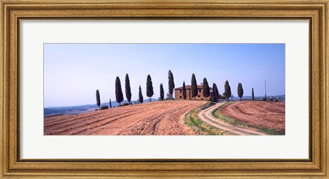 Framed Trees on a Hill, Tuscany, Italy Print