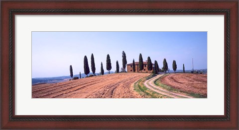 Framed Trees on a Hill, Tuscany, Italy Print