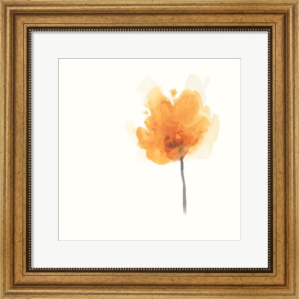 Framed Expressive Blooms IX Print