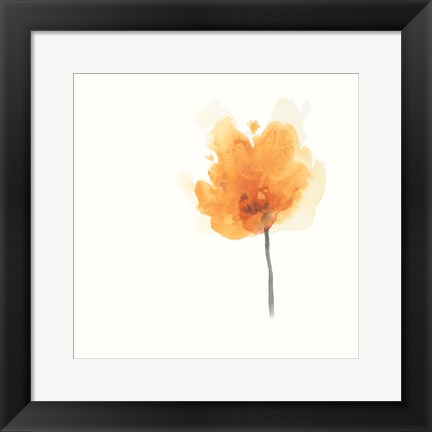 Framed Expressive Blooms IX Print