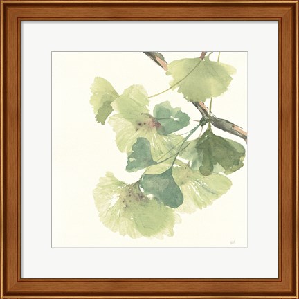 Framed Gingko Leaves II Light Print