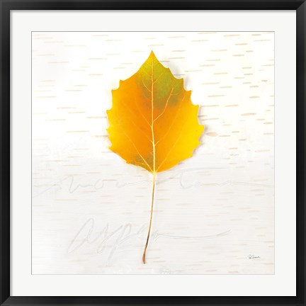Framed Autumn Colors III Print