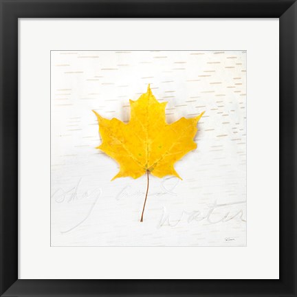 Framed Autumn Colors II Print