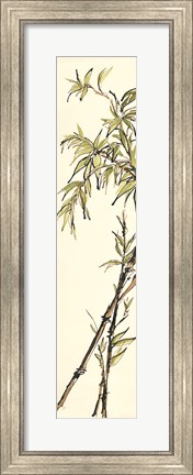 Framed Summer Bamboo I Print