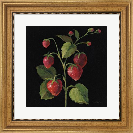 Framed Fraise no Words Print