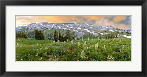 Framed Wildflowers along the Death Canyon Shelf, Grand Teton National Park, Wyoming Print