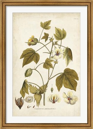 Framed Elegant Botanical I Print