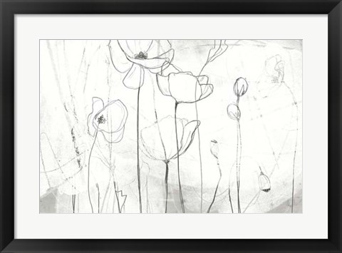 Framed Poppy Sketches I Print
