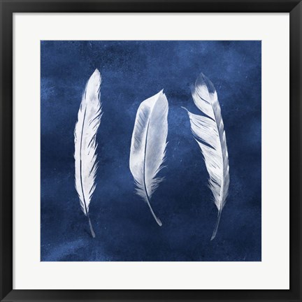 Framed Cyanotype Feathers II Print
