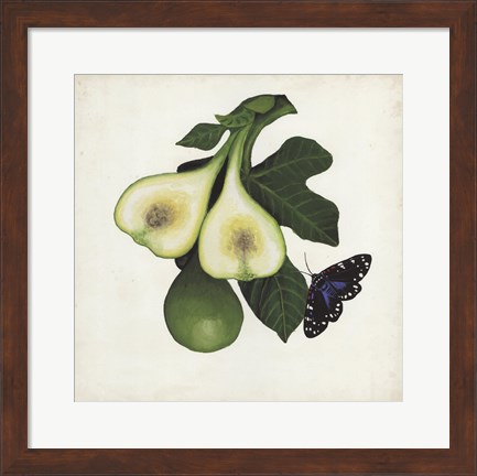 Framed Fruit with Butterflies III Print