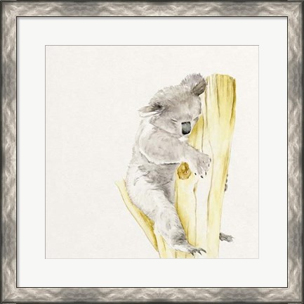 Framed Baby Koala I Print