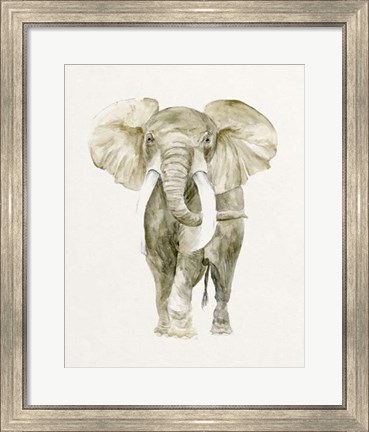 Framed Baby Elephant I Print
