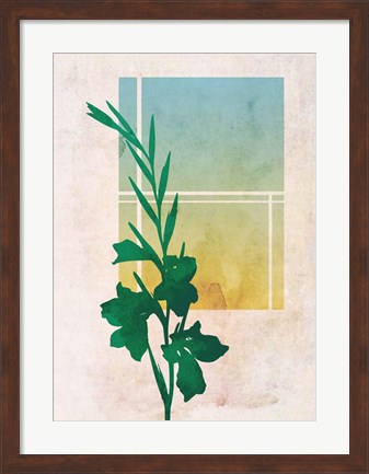 Framed Ombre Gladiolus Flowers Print