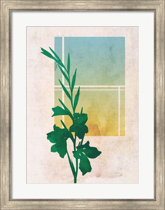 Framed Ombre Gladiolus Flowers Print