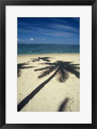 Framed Shadow of Palm Trees on Beach, Coral Coast, Fiji Print