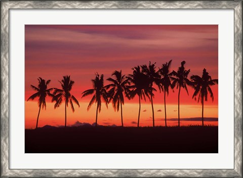 Framed Palm Trees and Sunset, Queens Road, Fiji Print