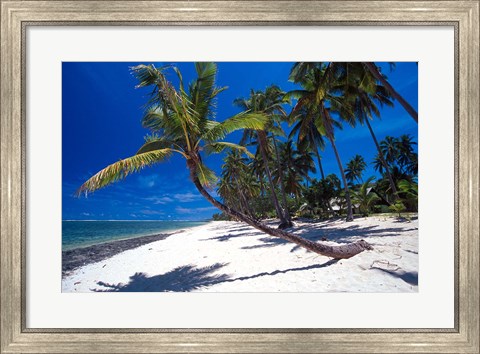 Framed Tambua Sands,Fiji Print