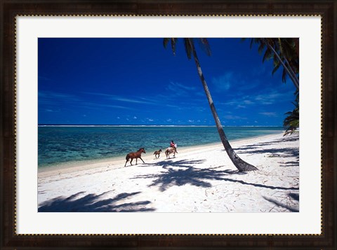 Framed Horses on Beach, Tambua Sands Resort, Coral Coast, Fiji Print