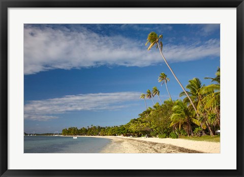 Framed Beach and palm trees, Plantation Island Resort, Fiji Print
