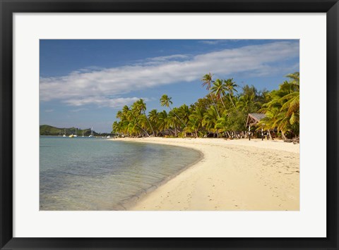 Framed Beach and palm trees,  Malolo Lailai Island, Mamanuca Islands, Fiji Print