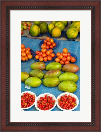Framed Nadi Produce Market, Nadi, Viti Levu, Fiji Print