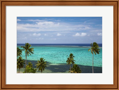 Framed Palm trees and coral reef, Crusoe&#39;s Retreat, Coral Coast, Viti Levu, Fiji Print