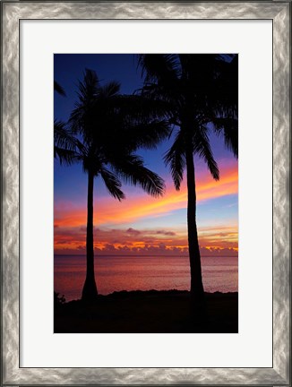 Framed Sunset and palm trees, Coral Coast, Viti Levu, Fiji Print