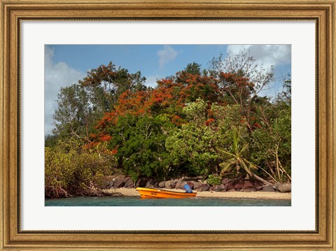 Framed Christmas Tree and Orange Skiff, Turtle Island, Yasawa Islands, Fiji Print