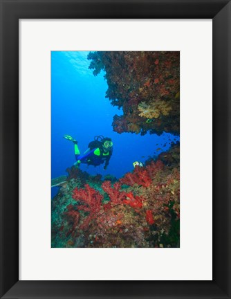 Framed Diver, Coral-lined Arc, Beqa Island, Fiji Print