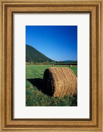 Framed Hay Bales in Litchfield Hills, Connecticut Print
