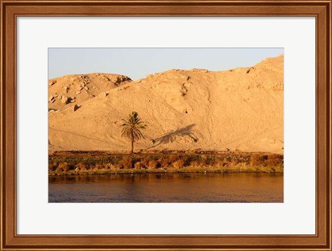 Framed Palm Tree on the Bank of the Nile River, Egypt Print