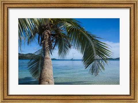 Framed Palm tree over clear waters around Nanuya Lailai Island, Blue Lagoon, Yasawa, Fiji, South Pacific Print