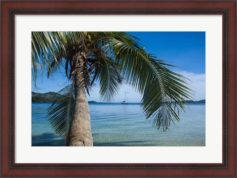 Framed Palm tree over clear waters around Nanuya Lailai Island, Blue Lagoon, Yasawa, Fiji, South Pacific Print