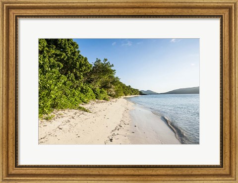 Framed White sandy beach, Fiji Print
