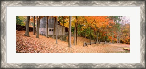 Framed Trees On A Hill, Connecticut Print