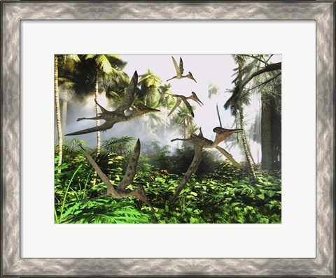 Framed flock of Pterodactylus reptiles fly over the jungle searching for their next meal Print