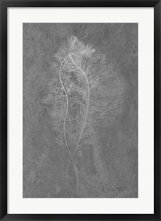 Framed Fern Algae Silver on Black Print