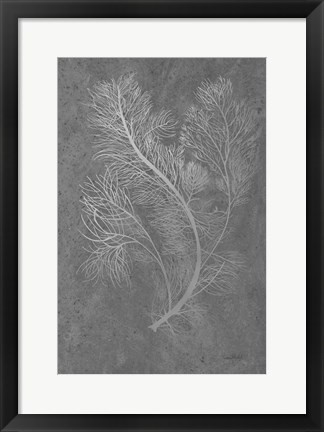 Framed Fern Algae Silver on Black 2 Print