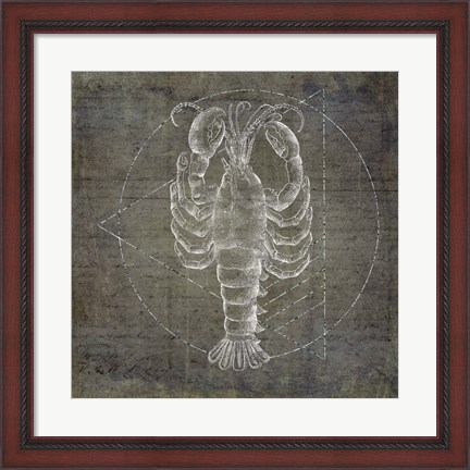 Framed Lobster Geometric Silver Print