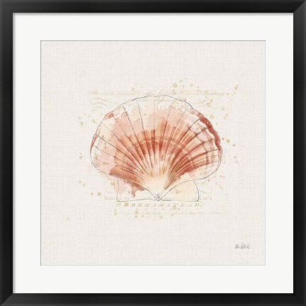 Framed Shell Collector IV Print