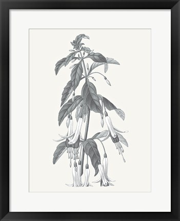 Framed Neutral Botanical I Print