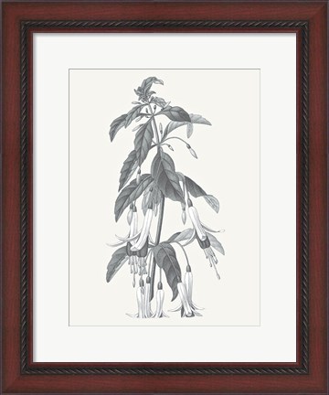 Framed Neutral Botanical I Print