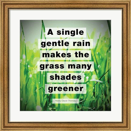 Framed Single Gentle Rain - Henry Thoreau Quote (Vibrant) Print