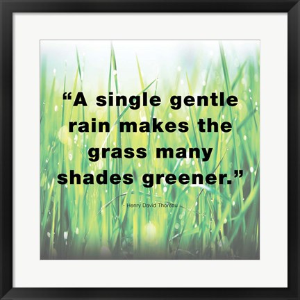 Framed Single Gentle Rain - Henry Thoreau Quote (Light) Print